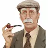 Mustasch och ögonbryn gammal man vuxen