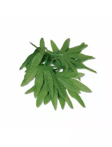 Armband för handled eller vrist med tropiska blad