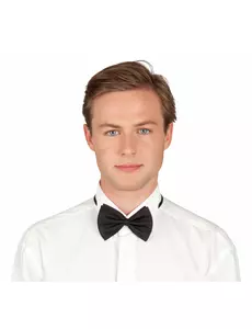 Svart fluga vuxen