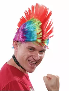 Flerfärgad punkperuk herr