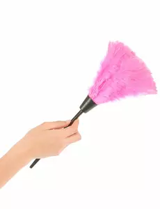 Rosa plym