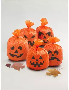20 plastpåsar med pumpor 15 x 20 cm