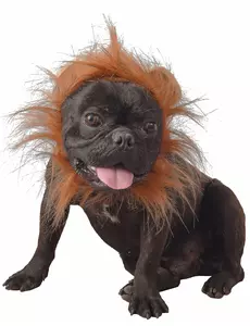 Lejonmaskeraddräkt för hund
