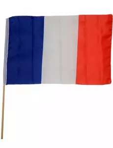 Frankrikes supporterflagga