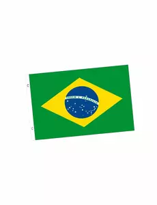 Brasilien-supporterflagga 150 x 90 cm