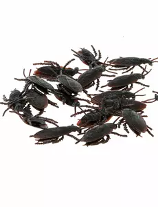 12 svarta kackerlackor 6 cm Halloween
