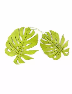 2 gröna tropiska träblad 11 cm
