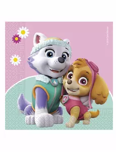 20 pappersservetter Pat' Patrouille Skye et Everest™ 33 x 33 cm