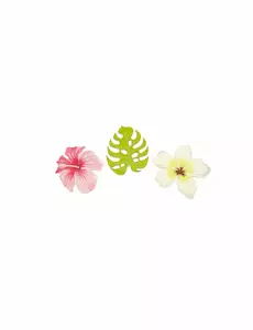9 träkonfettibitar med tropiska blommor och blad 3,8 cm
