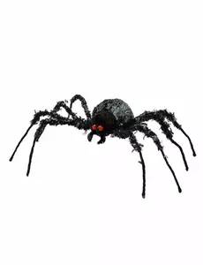 Jättespindel 43 x 46 cm