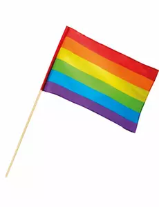 Regnbågsflagga 30 X 45 cm