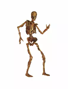 Ledad ruttnande skelettdekoration 180 cm