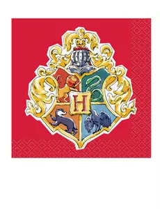 16 små Harry Potter™-servetter 25 x 25 cm