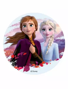 Ätbart rispapperark La Reine des Neiges 2™ 20 cm