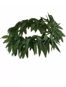 Pannband med tropiska blad