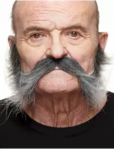 Mustasch med grånande polisonger herr