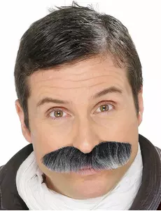Gråsprängt mustasch vuxen