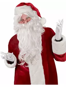 Vit tomteperuk och skägg vuxen