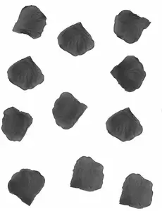 100 svarta tygrosblad 5 cm