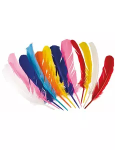 12 flerfärgade indianfjädrar 30 cm