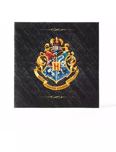 20 Harry Potter-pappersservetter med spindelnät 33x 33 cm™