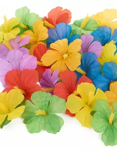 24 hawaiianska blommor