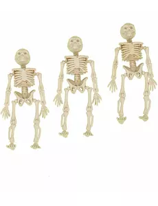 3 små skelettdekorationer 12 cm