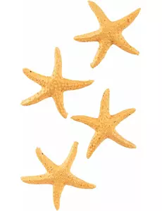 4 sjöstjärnor i harts 4,5 cm