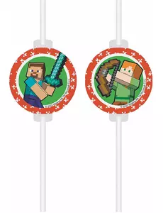 4 papperssugrör Medallion Minecraft™