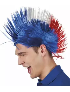 Punkperuk France
