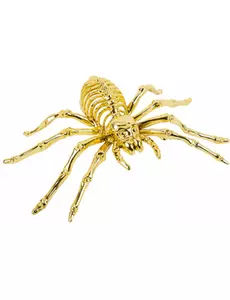 Gyllene skelettspindel 12,5 x 20,5 cm