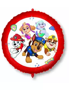Aluminiumballong Pat Patrouille™ 46 cm