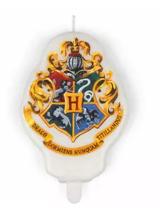 Födelsedagsljus Harry Potter™