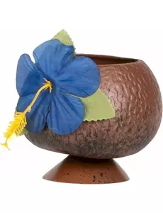 Tropisk hawaiiskål i kokosnöt