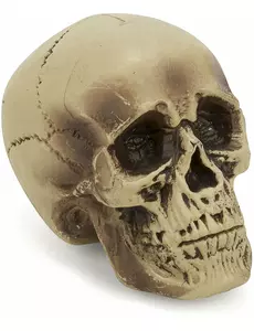 Plastdekoration med dödskalle 18 cm