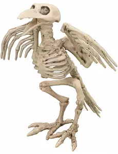 Dekoration korpskelett 19,5 cm Halloween