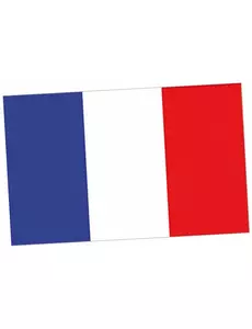 Frankrike-supporterflagga 150 x 90 cm