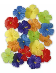 Flerfärgade blommor