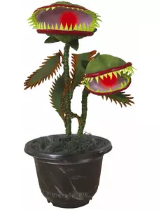 Animerad köttätande växt 42 cm