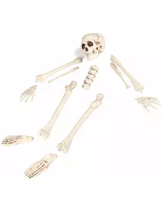 Benpåse 12 delar Halloween