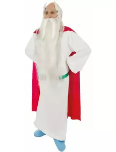 Druidmaskeraddräkt Panoramix™ vuxen - Astérix et Obélix, Storlek: Large