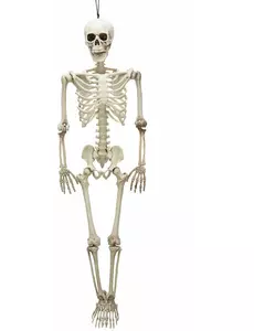 Ledat skelett 90 cm Halloween