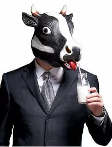 Ko-mask med horn vuxen