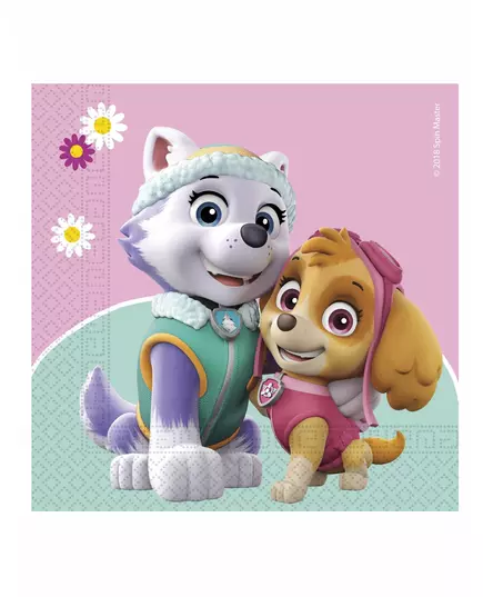 20 pappersservetter Pat' Patrouille Skye et Everest™ 33 x 33 cm