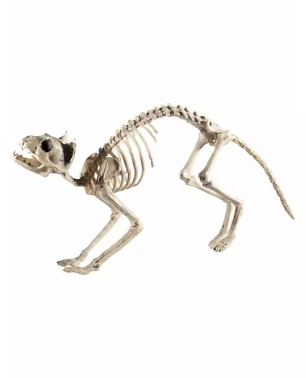 Halloween-dekoration skelettkatt