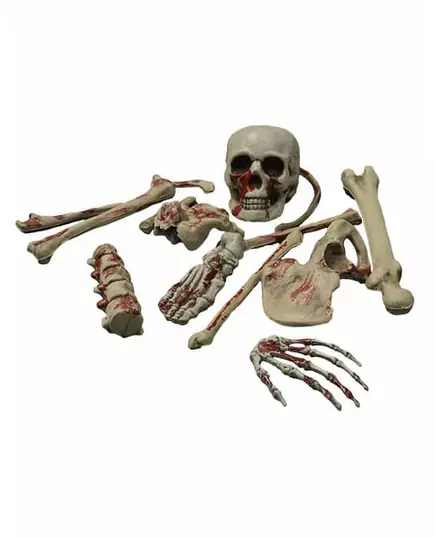 Blodig skelettdekoration Halloween