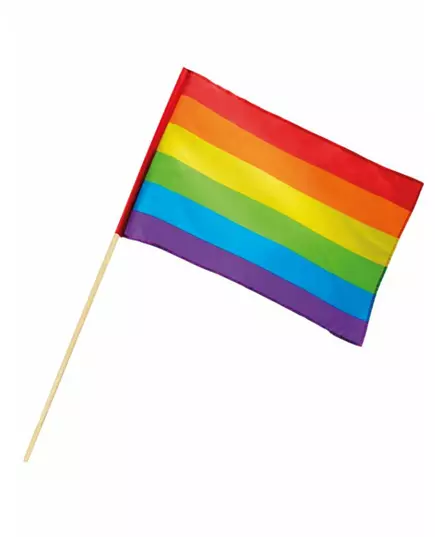 Regnbågsflagga 30 X 45 cm