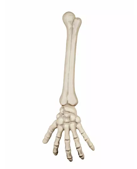 Skelett hand 46 cm Halloween