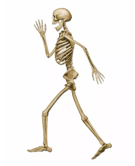 Beige gående skelettdekoration för Halloween 94 cm