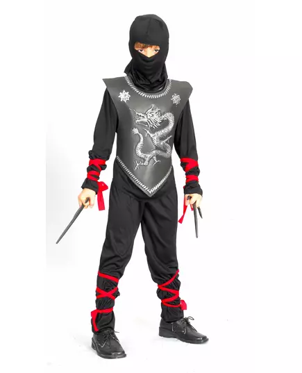 Ninjadrakemaskeraddräkt pojke, Storlek: 4-6 år (110-120 cm)